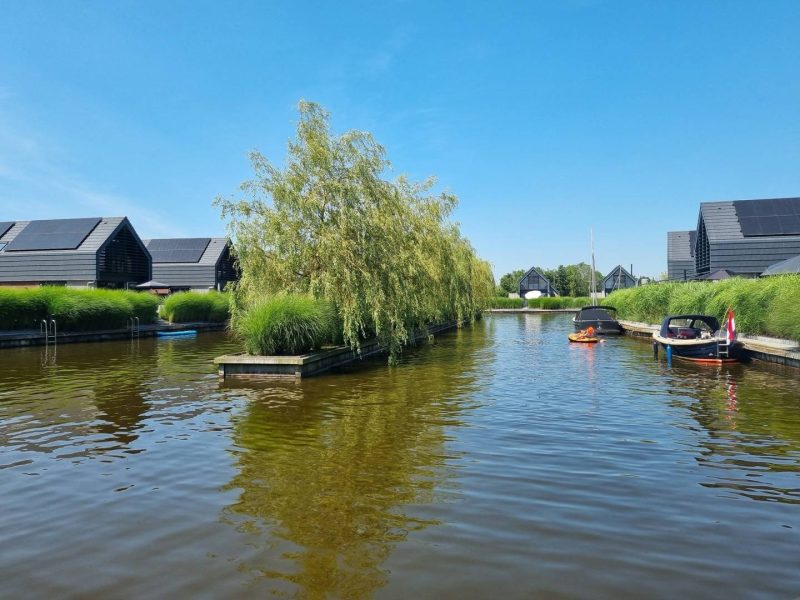 filla njogge a water