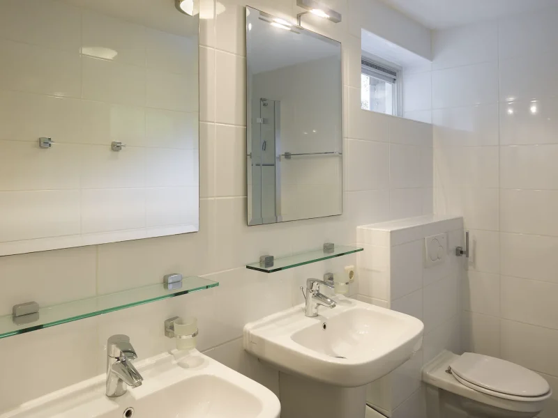 goudplevier sauna in waterpark zwartkruis in noardburgum badkamer